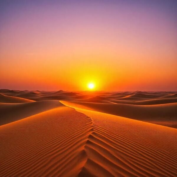 Over Night Desert Safari - Image 5