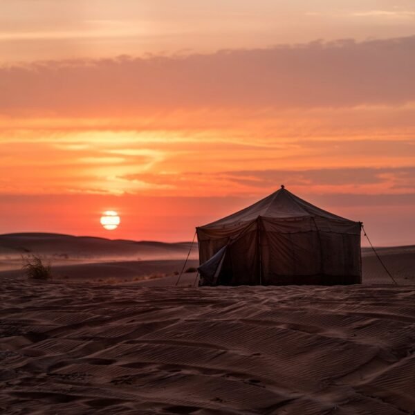 Over Night Desert Safari - Image 3